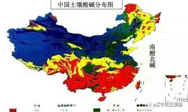 农业小知识--土壤病了!用再多肥料也白瞎!