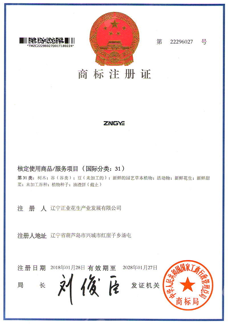 正业商标注册