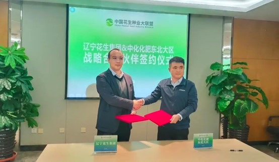 图片2 图片2